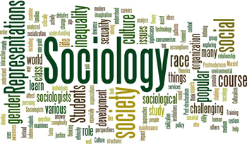 Application of theories and sociological concepts on organizations, work and employment